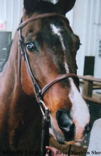 STOLEN TACK - Billy Royal Western Show Saddle and other Tack Near Norman, OK, 73026