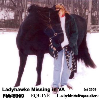 MISSING EQUINE LadyHawke, Near Culpeper, VA, 00000
