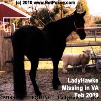 MISSING EQUINE LadyHawke, Near Culpeper, VA, 00000