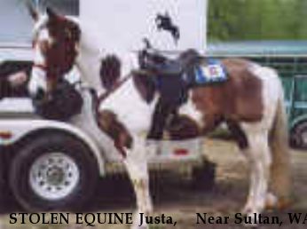 STOLEN EQUINE Justa,+++ Near Sultan, WA, 00000