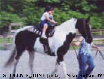 STOLEN EQUINE Justa,+++ Near Sultan, WA, 00000