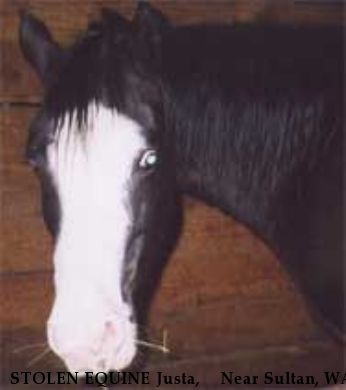 STOLEN EQUINE Justa,+++ Near Sultan, WA, 00000