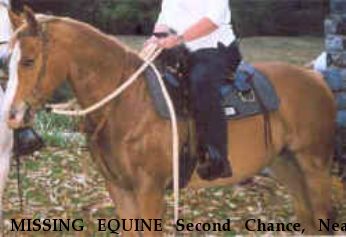 MISSING EQUINE Second Chance, Near Reading, PA, 00000