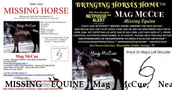 MISSING EQUINE Mag McCue, Near Okeechobee, FL, 00000