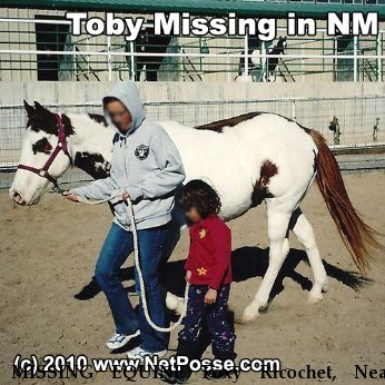 MISSING EQUINE Foxy Ricochet, Near Albuquerque, NM, 87123