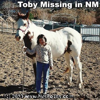 MISSING EQUINE Foxy Ricochet, Near Albuquerque, NM, 87123