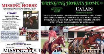 MISSING EQUINE Calais, Near Cincinnati, OH, 00000