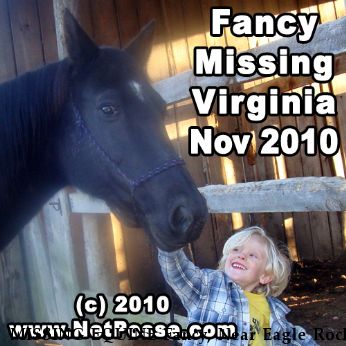 MISSING EQUINE Fancy, Near Eagle Rock, VA, 24085