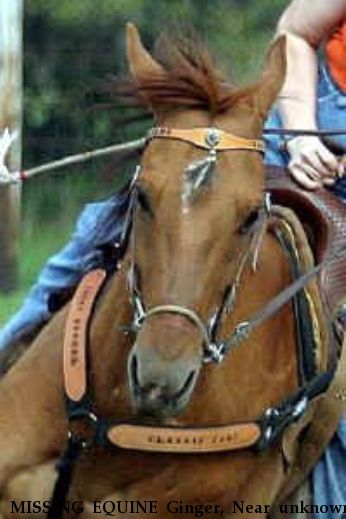 MISSING EQUINE Ginger, Near unknown, WI, 54481