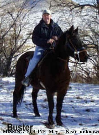 MISSING EQUINE Meg,+ Near unknown, WY, 00000