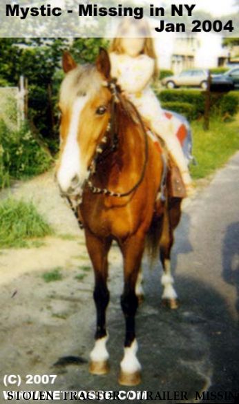 STOLEN TRACTOR / TRAILER MISSING EQUINE Mystic,+ Near Bayshore, NY, 00000