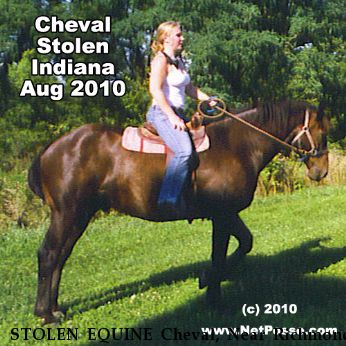 STOLEN EQUINE Cheval, Near Richmond, IN, 47374