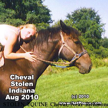 STOLEN EQUINE Cheval, Near Richmond, IN, 47374